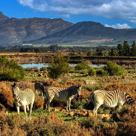Welbedacht Game & Nature Reserve Tulbagh Zewnętrze zdjęcie