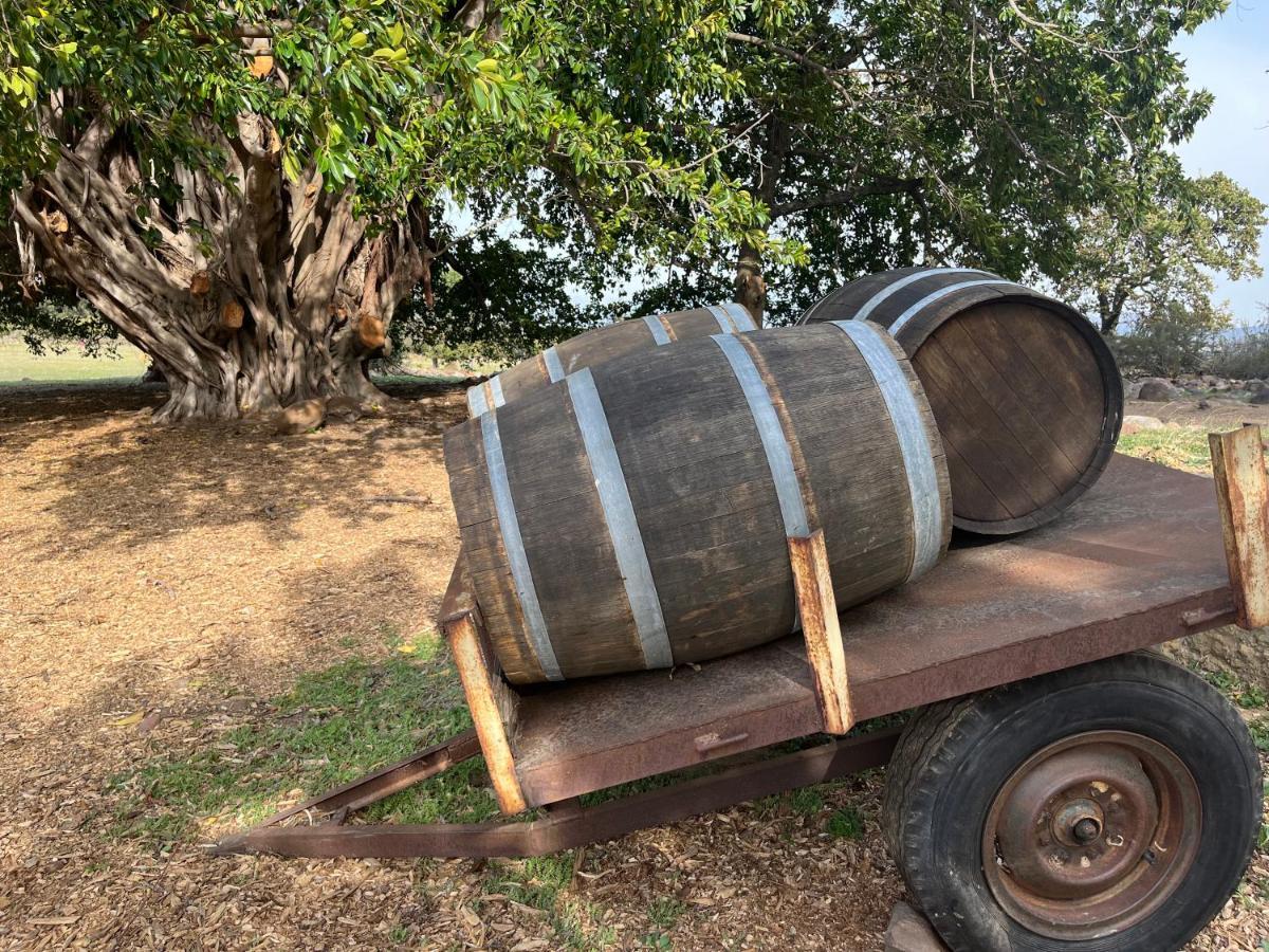 Welbedacht Game & Nature Reserve Tulbagh Zewnętrze zdjęcie