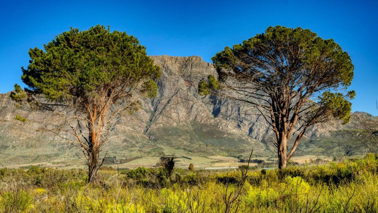 Welbedacht Game & Nature Reserve Tulbagh Zewnętrze zdjęcie